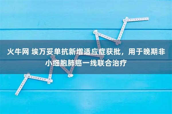火牛网 埃万妥单抗新增适应症获批，用于晚期非小细胞肺癌一线联合治疗