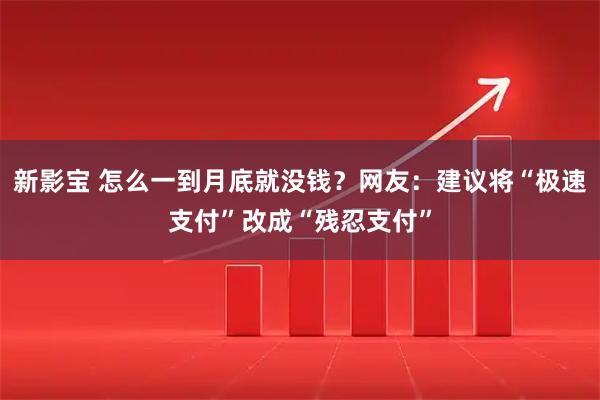 新影宝 怎么一到月底就没钱？网友：建议将“极速支付”改成“残忍支付”