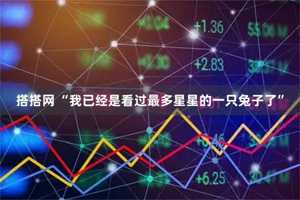 搭搭网 “我已经是看过最多星星的一只兔子了”